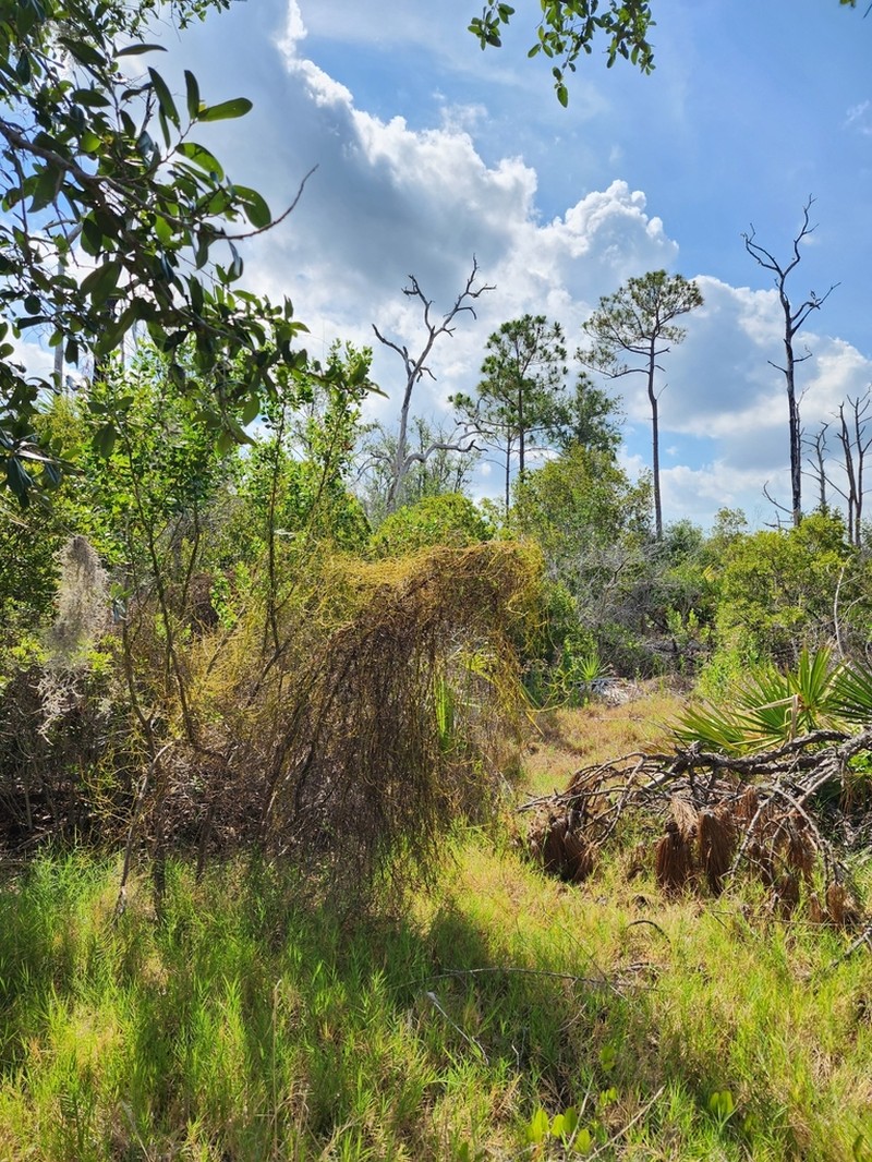 Devil's Gut photo 2