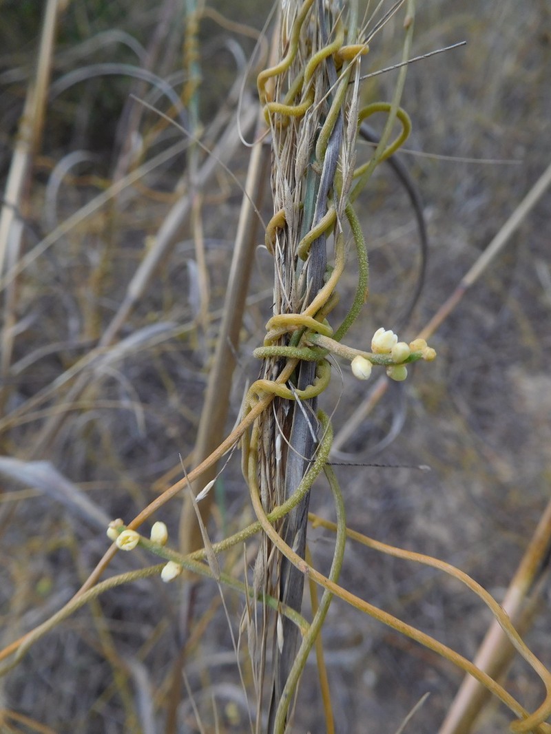 Devil's Gut photo 8