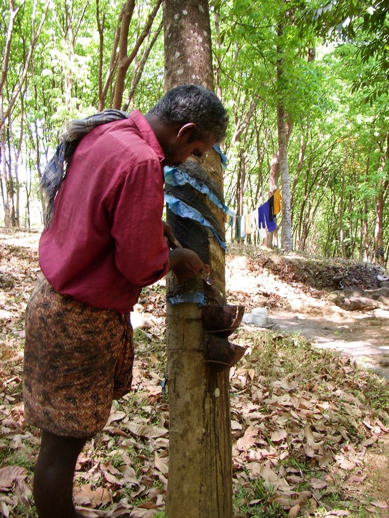 Caucho Rubber