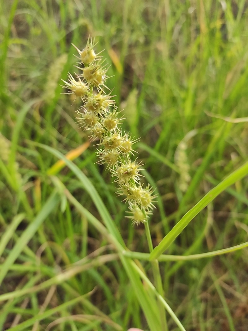 Mat Sandbur photo 2