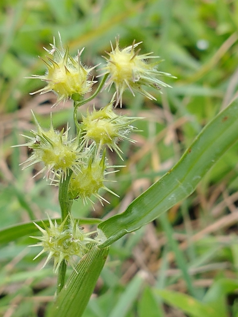 Mat Sandbur photo 5