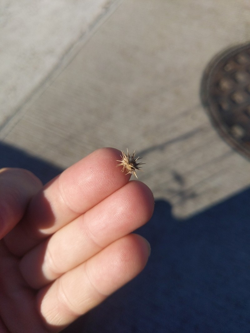 Mat Sandbur photo 6