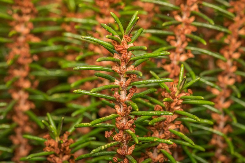 Sand Heath photo 3