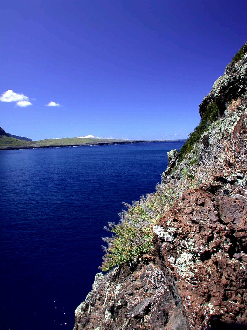 Alaweo photo 6