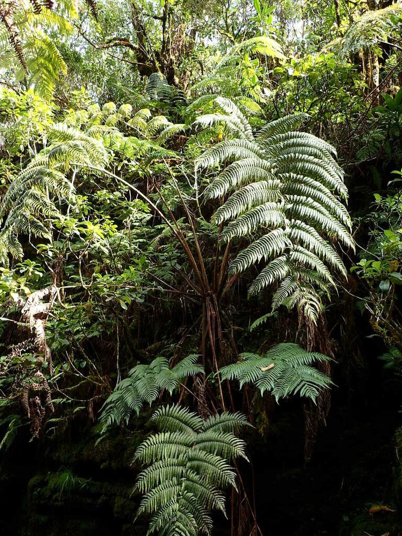 Neal's Manfern photo 7