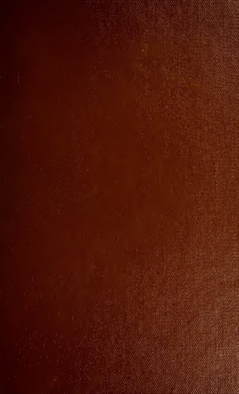 Pohnpeian Cinnamon