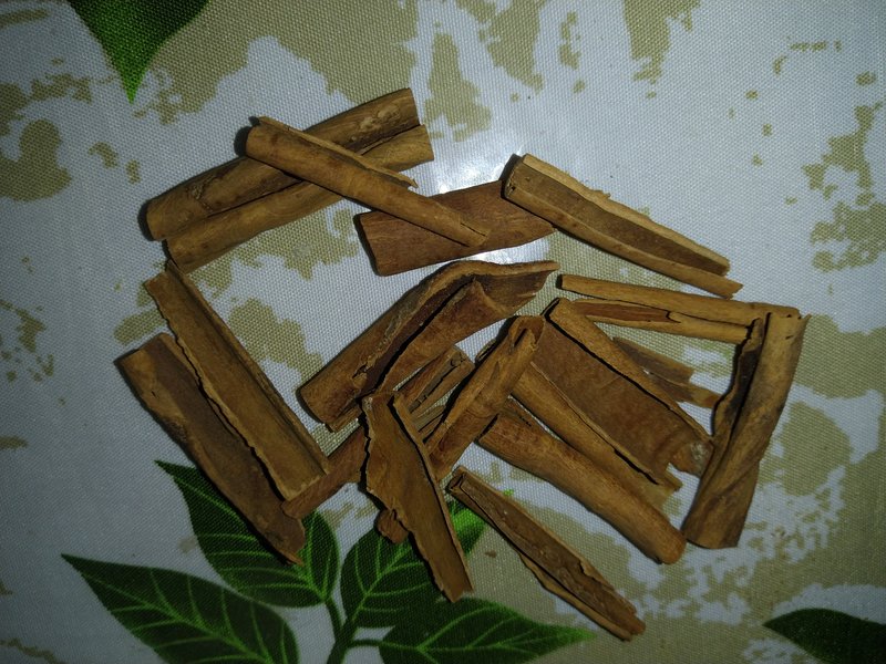 Cinnamon photo 4