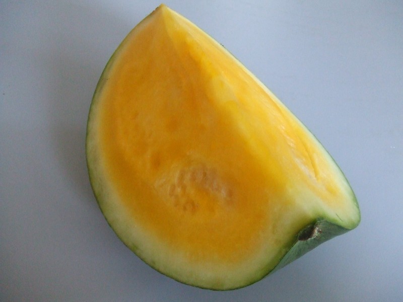 Watermelon photo 6
