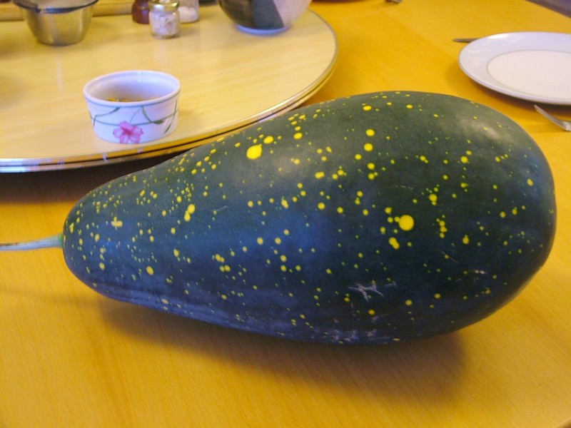 Watermelon photo 7