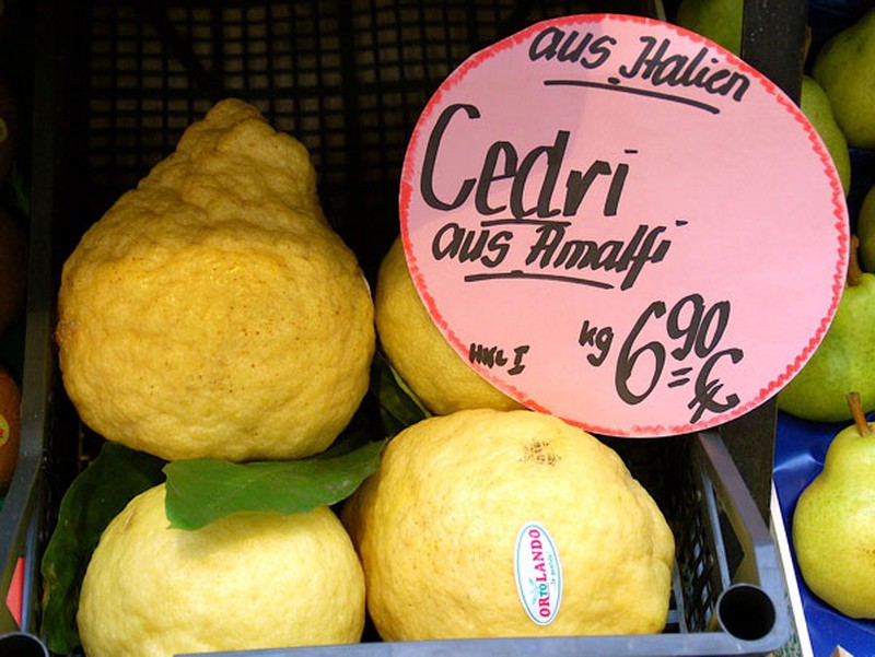 Citron photo 4