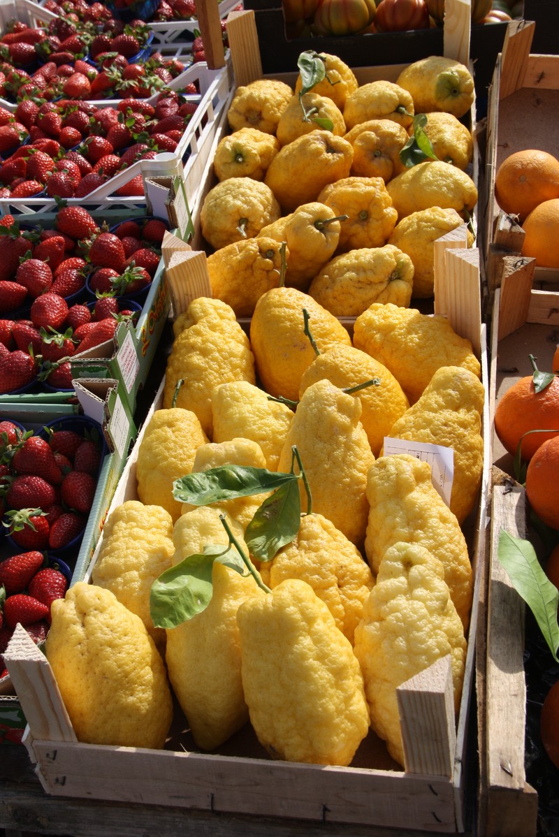 Citron photo 5