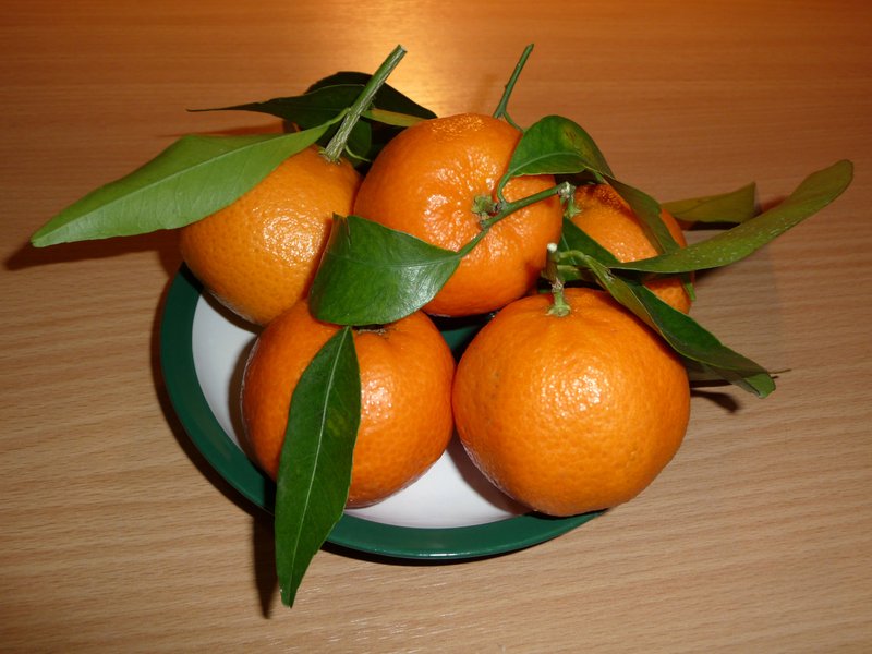 Tangerine photo 2