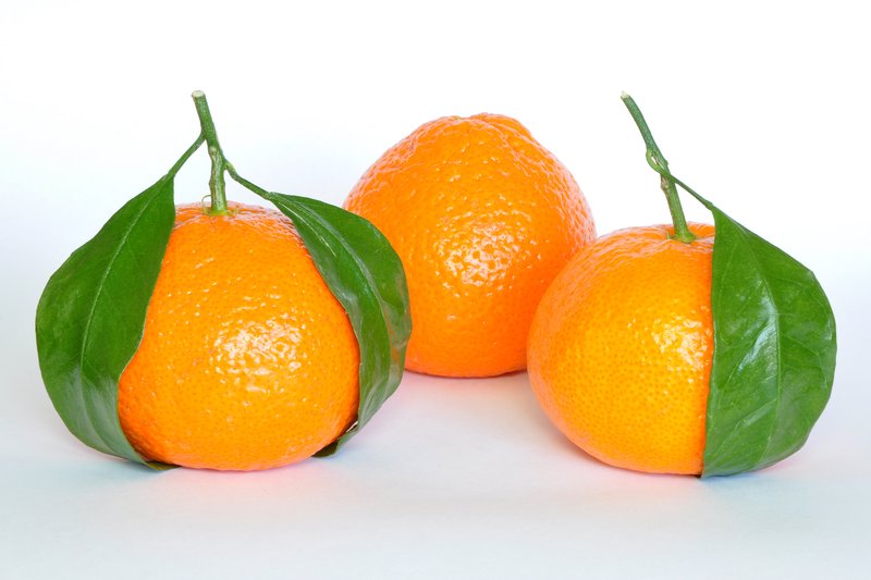 Tangerine photo 4