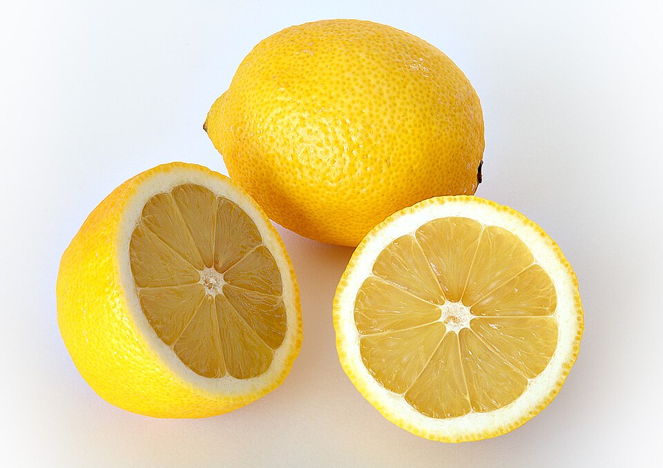 Lemon photo 6