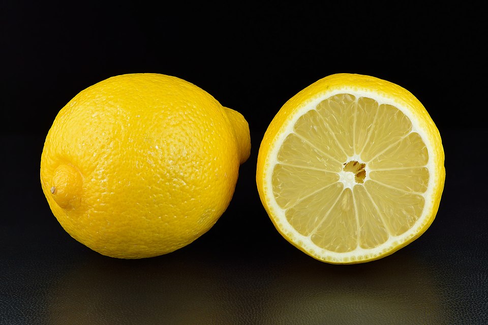 Lemon photo 7