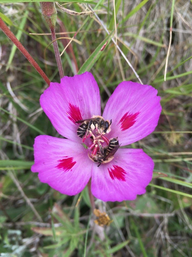 Farewell To Spring photo 2