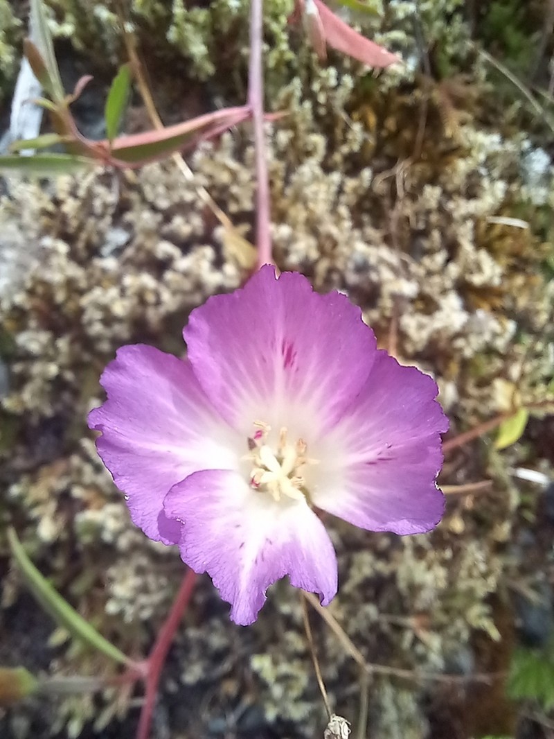 Farewell To Spring photo 3