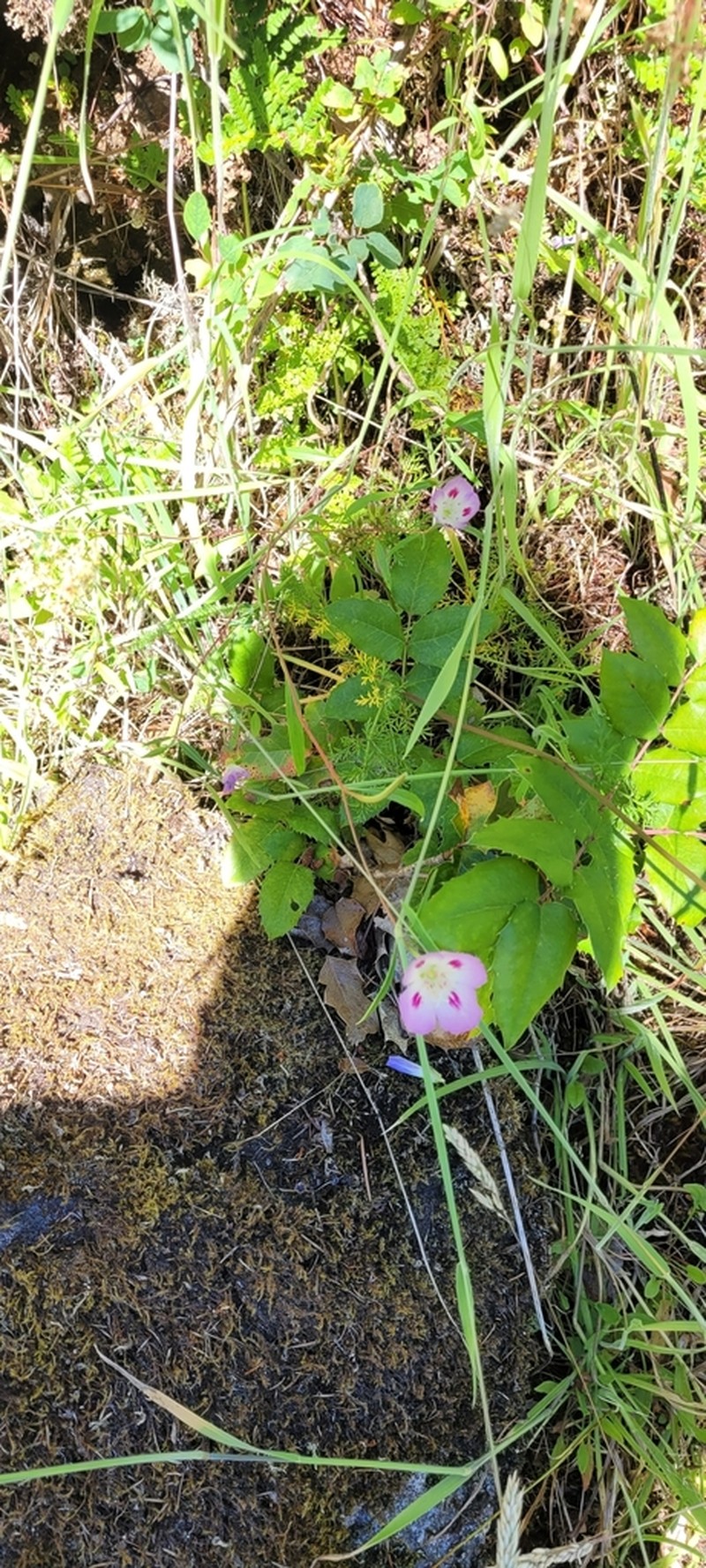 Farewell To Spring photo 7