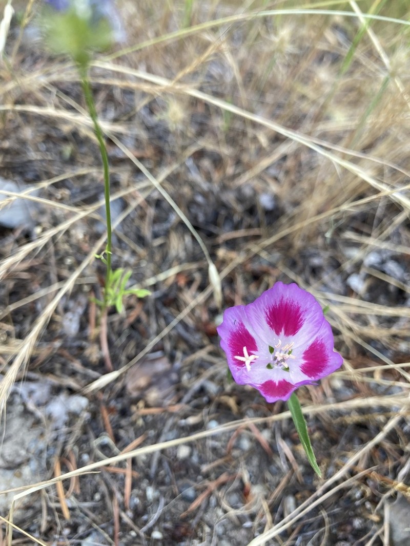Farewell To Spring photo 8
