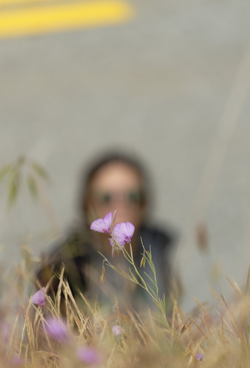 Speckled Clarkia photo 8