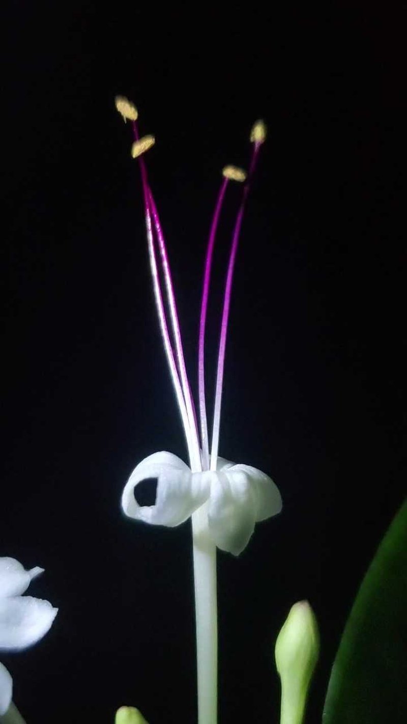 Embrert photo 5