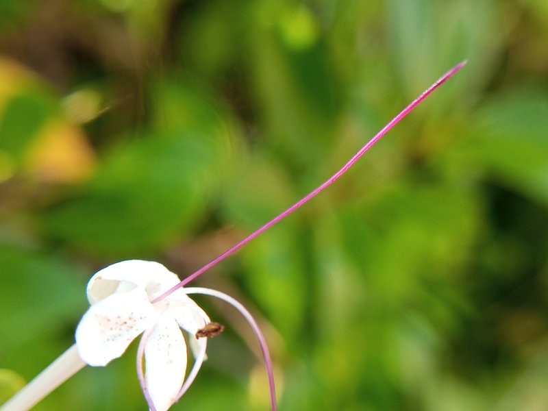 Embrert photo 6