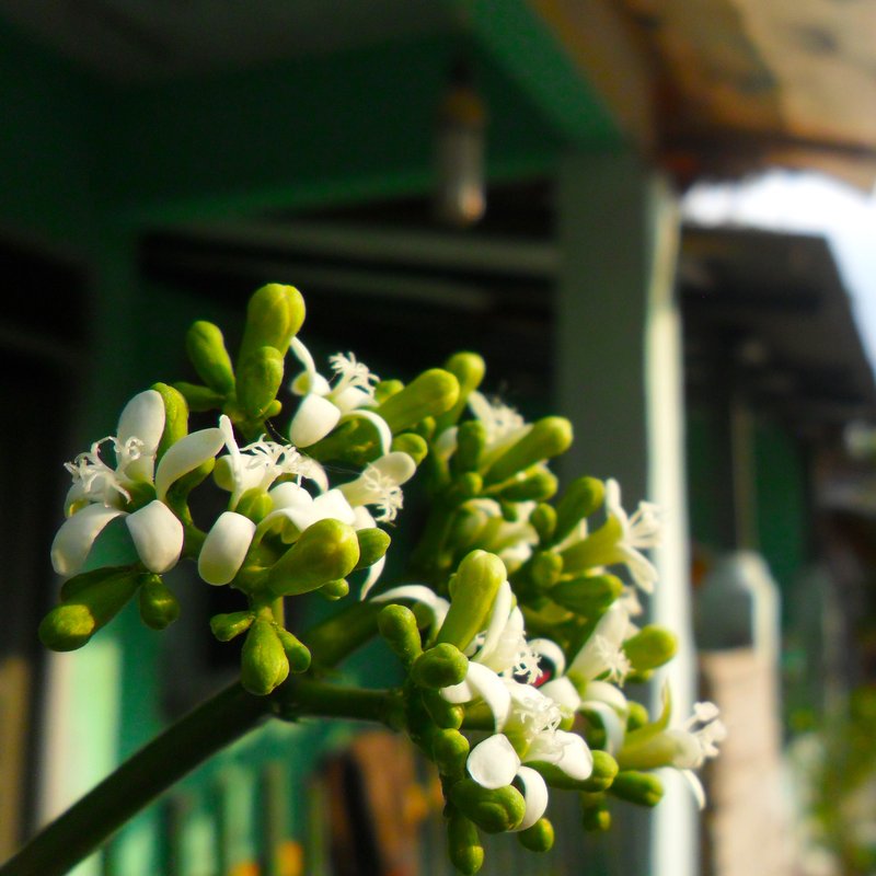 Treadsoftly photo 2