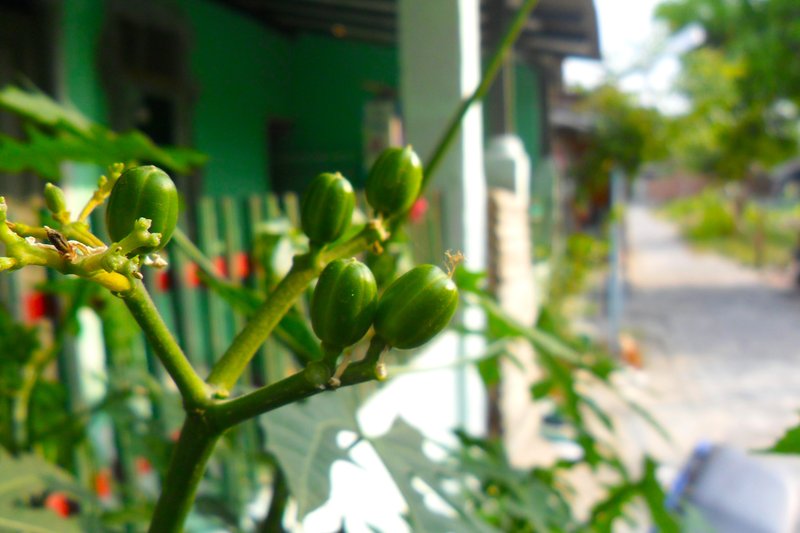 Treadsoftly photo 3