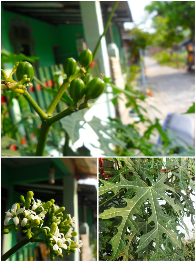 Treadsoftly photo 4