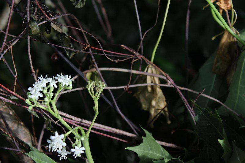 Treadsoftly photo 6
