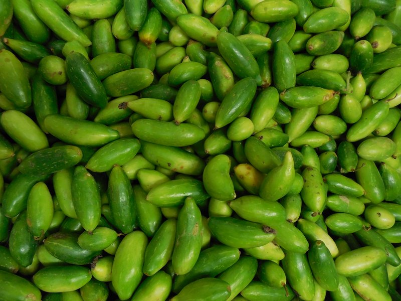 Ivy Gourd photo 8