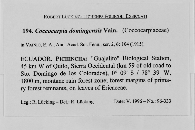 Domingan Coccocarpia Lichen photo 2