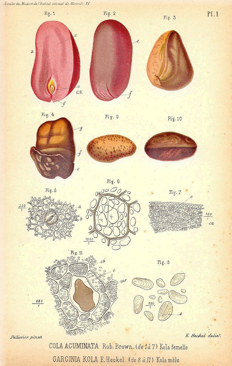 Abata Cola photo 5