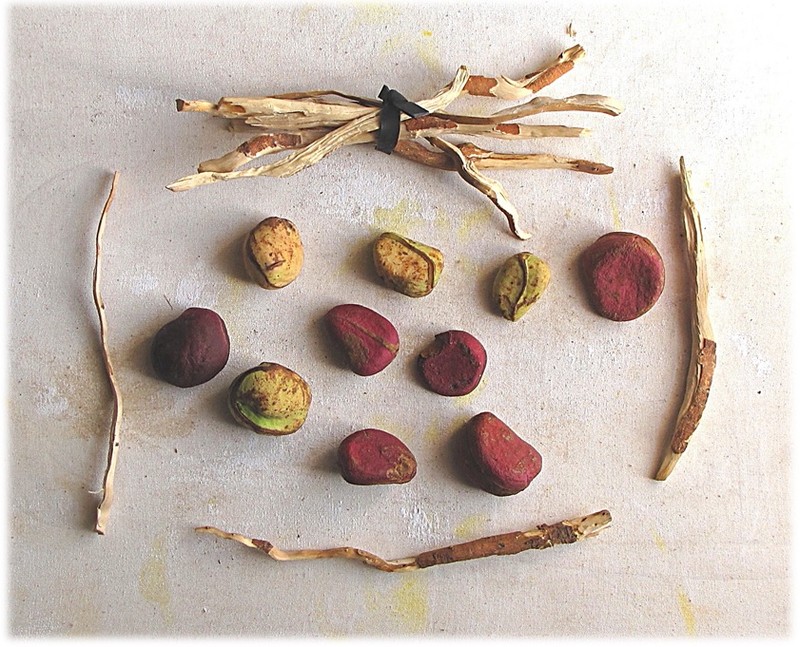 Abata Cola photo 6