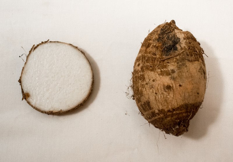 Coco Yam photo 6