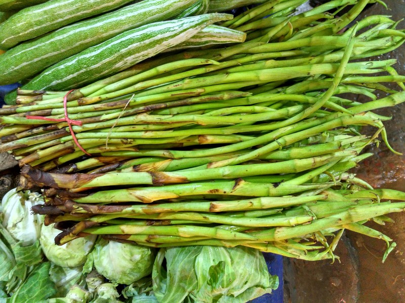 Coco Yam photo 8