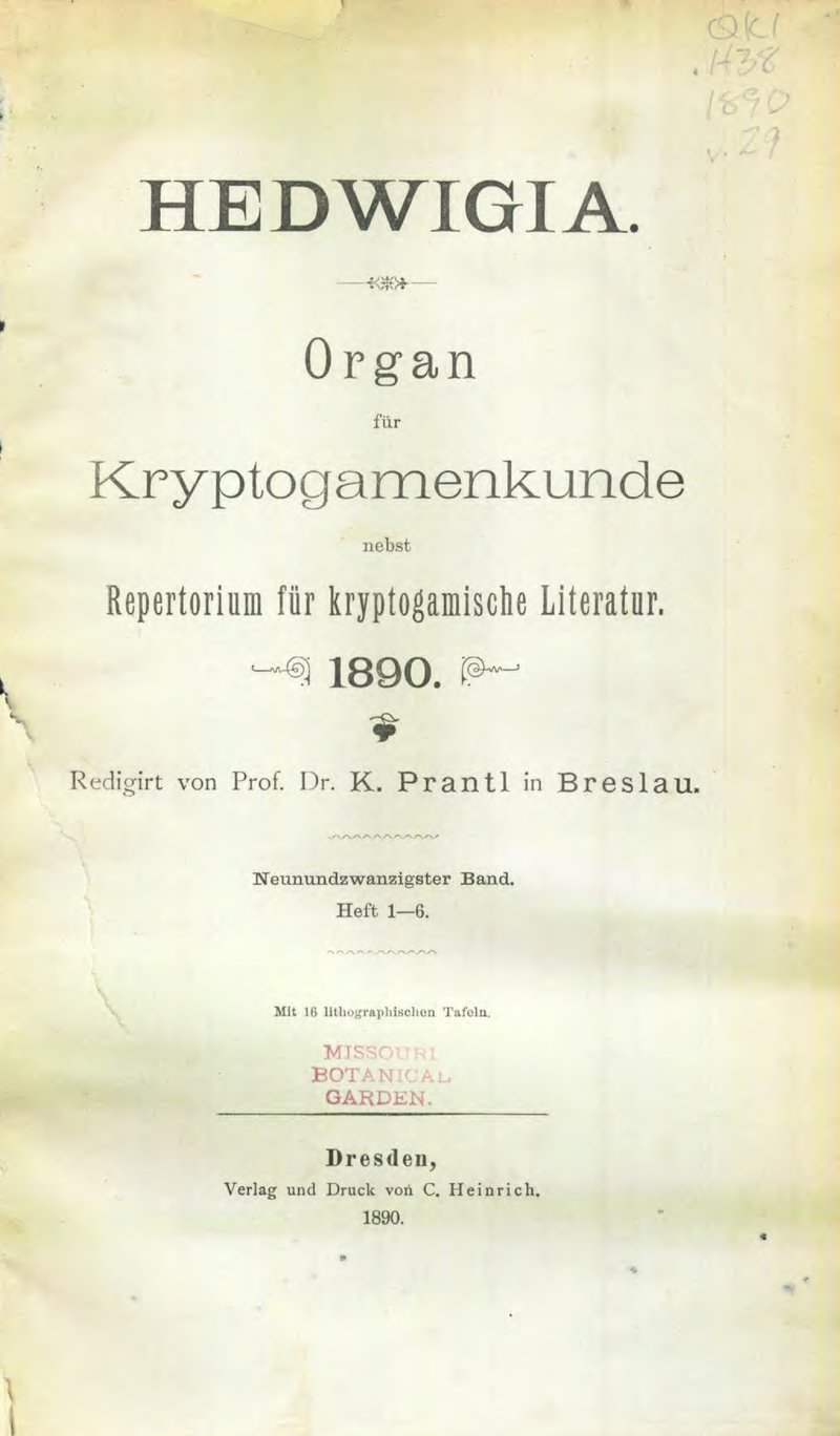 Cololejeunea cardiocarpa