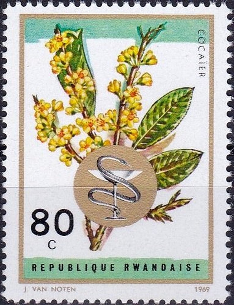 Copaiba photo 2