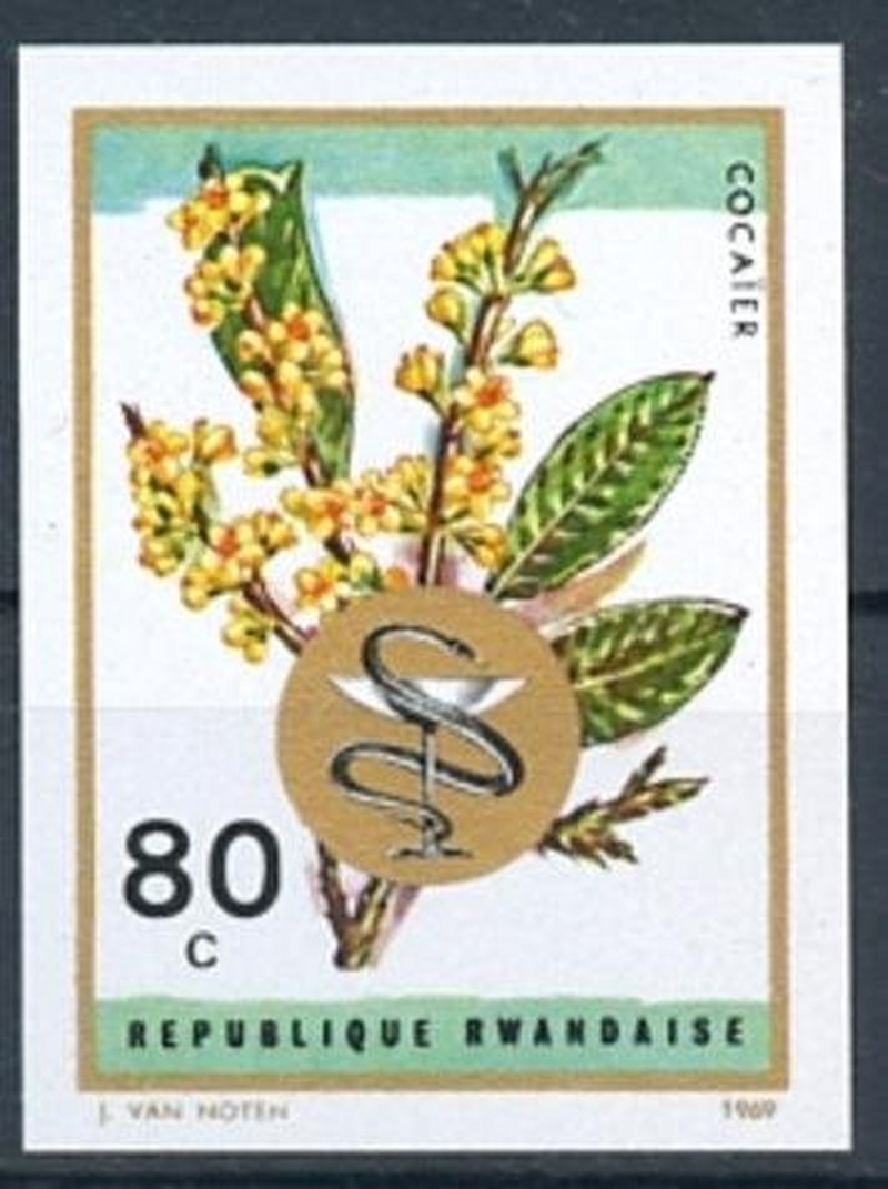 Copaiba photo 3