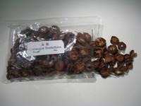 Crataegus scabrifolia