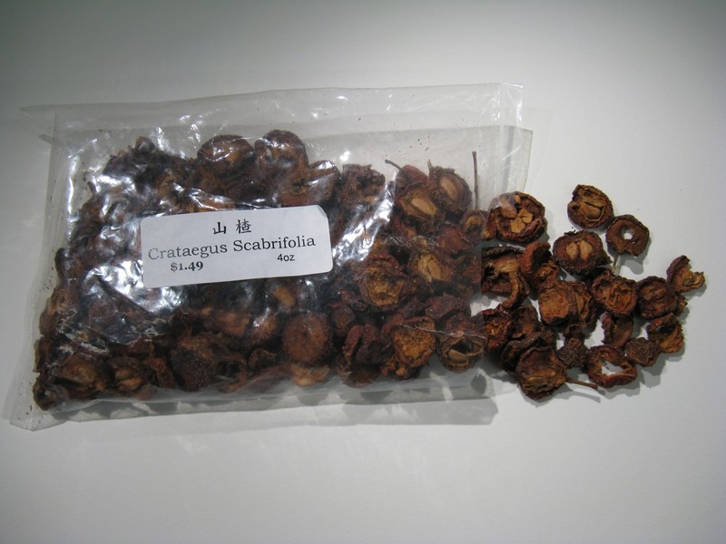 Crataegus scabrifolia