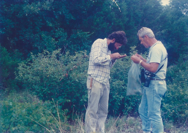 Alabama Croton