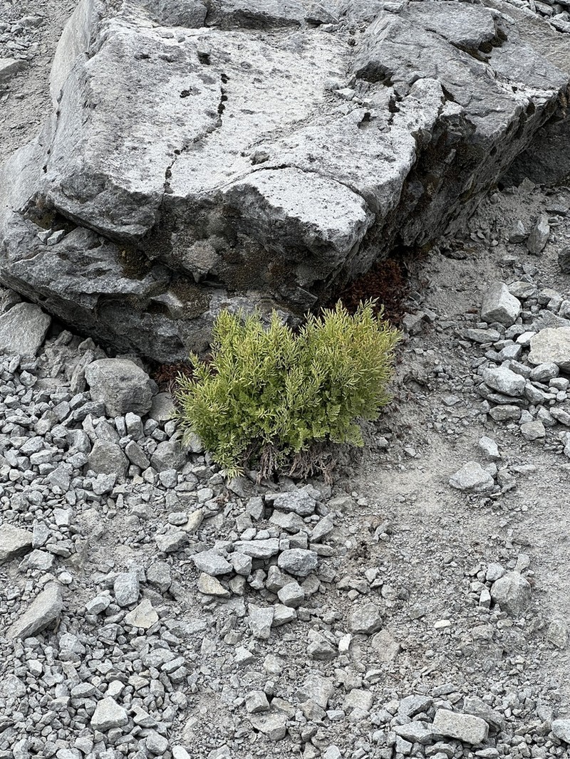 Cascade Rockbrake photo 3