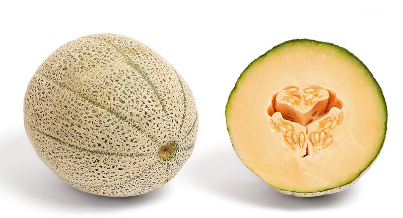 Cantaloupe photo 2