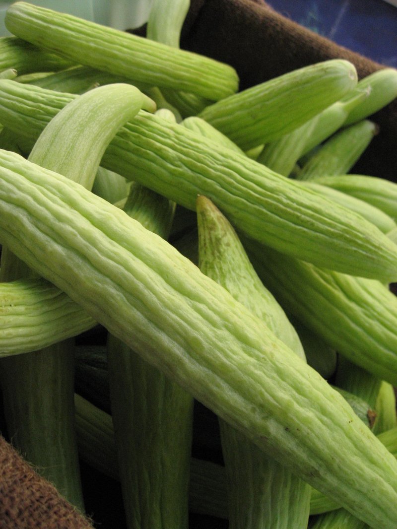 Cantaloupe photo 4