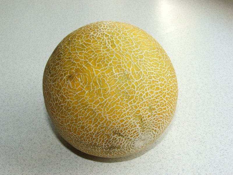 Cantaloupe photo 5