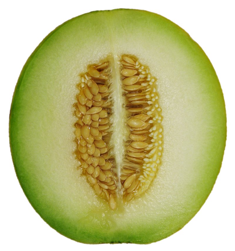 African Horned Cucumber photo 3