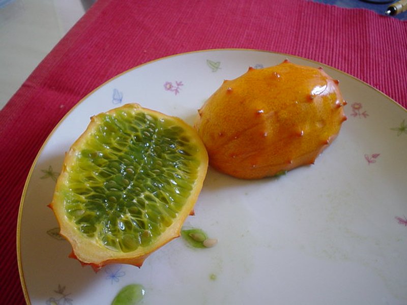 African Horned Cucumber photo 4