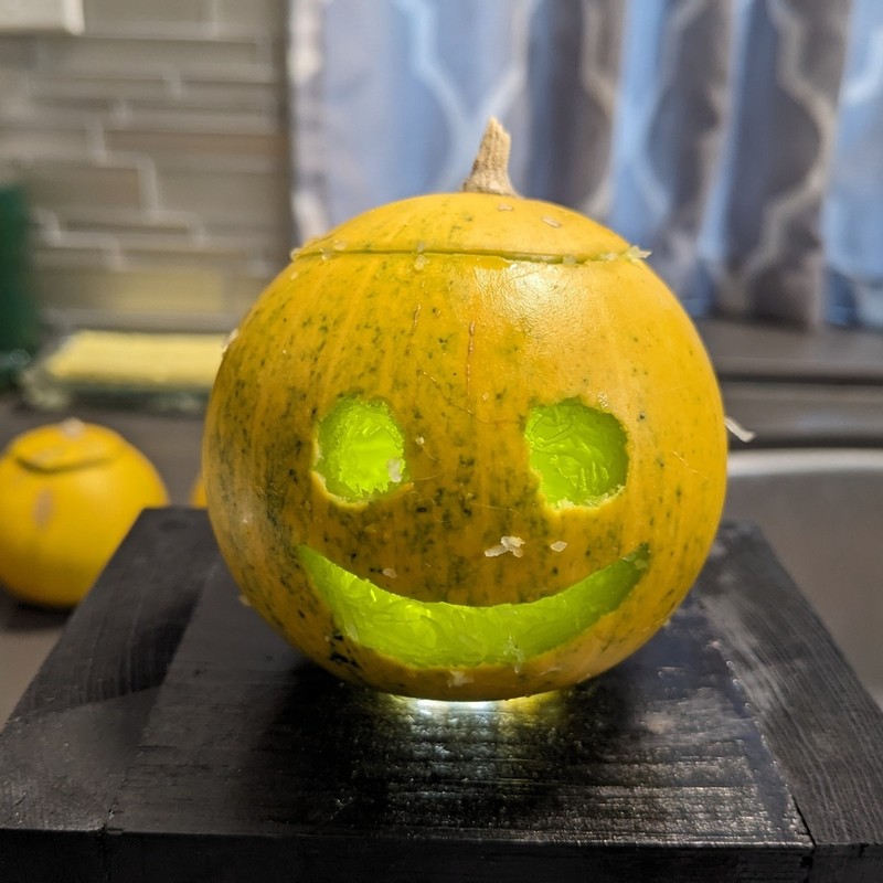 Missouri Gourd