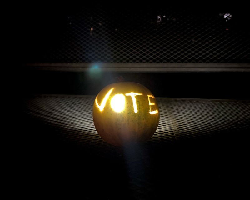 Missouri Gourd photo 4